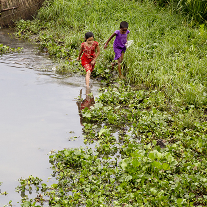 Two young girls adventuring in marshland