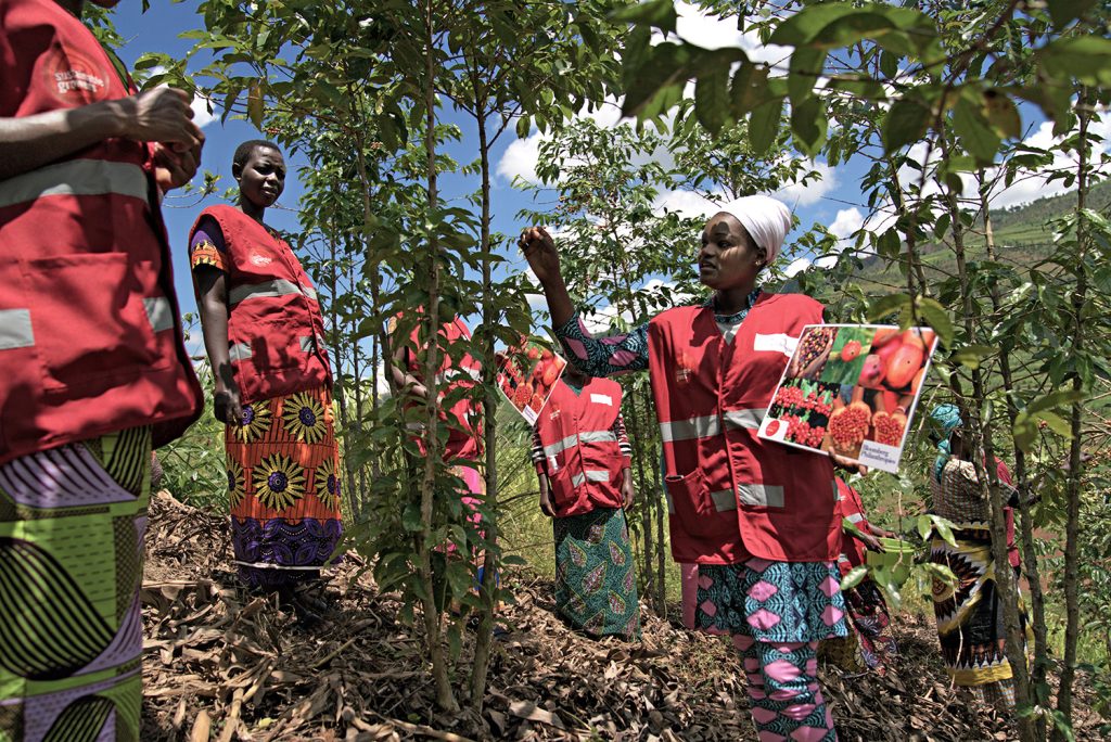 WOMEN’S ECONOMIC DEVELOPMENT