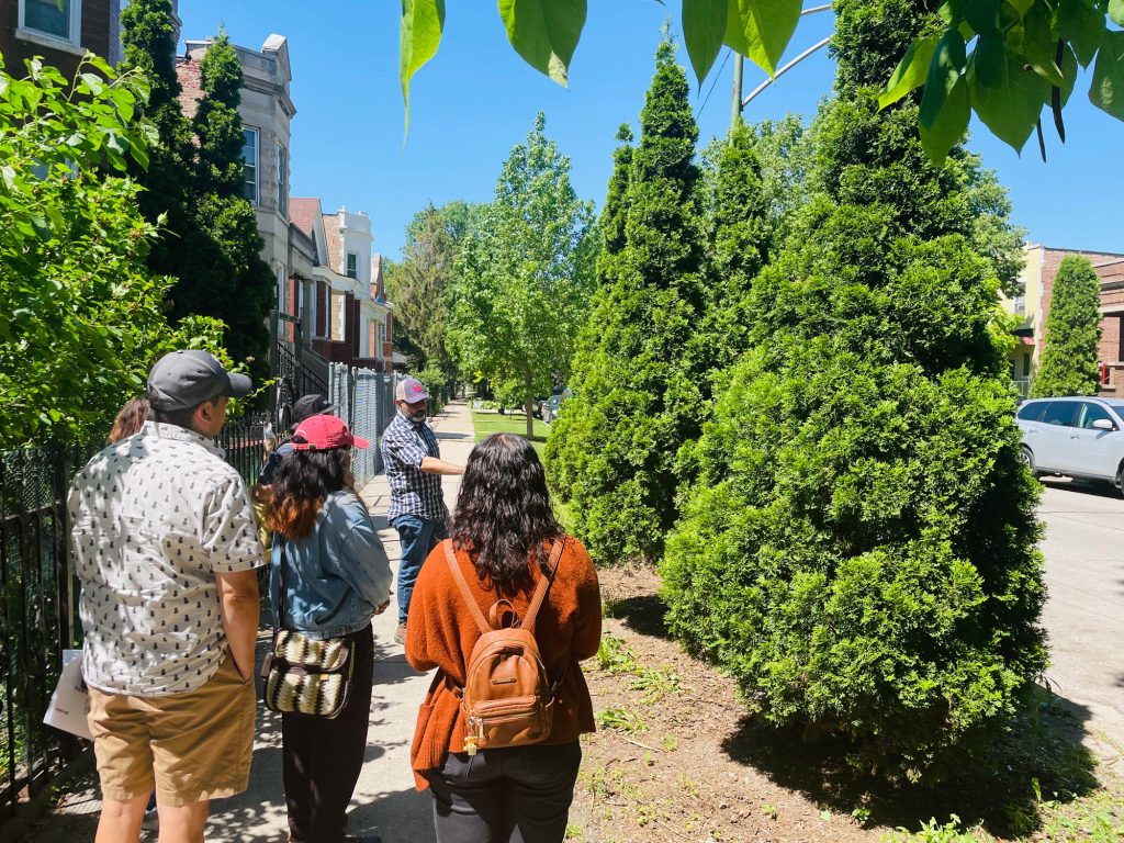 A group of people looking at newly planted trees