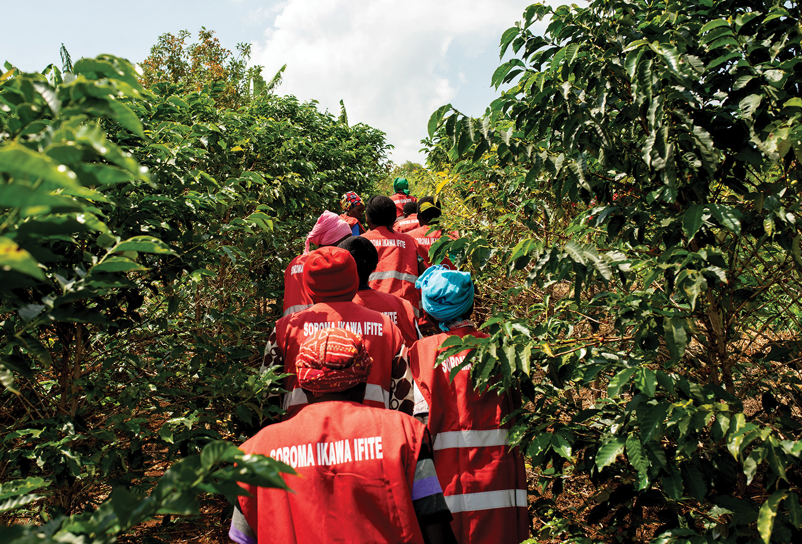 The Women’s Economic Development program works with governments, nonprofits, and the private sector to create opportunities for women that lead to economic independence. Women enrolled in the program, shown here, live and work in more than 120 countries around the world.