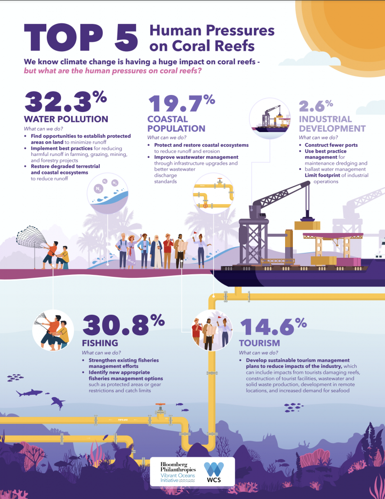 TOP 5 Human Pressures on Coral Reefs